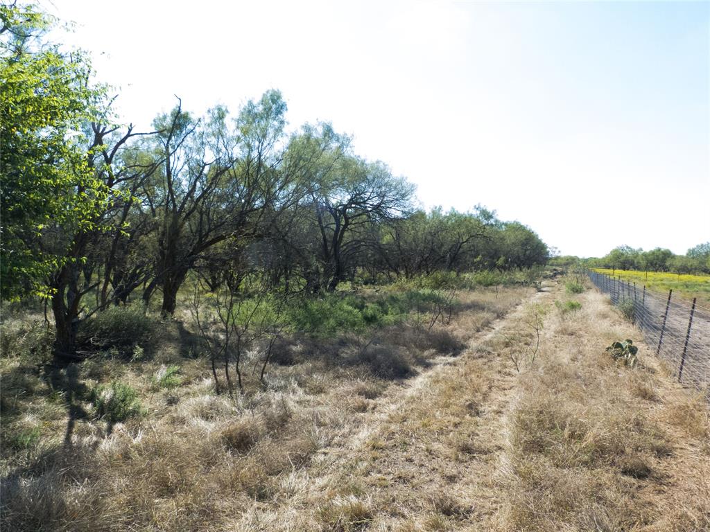 1597 County Road 305 Zephyr, TX 76890 - Photo 26 of 40 a view of a lake with lots of trees