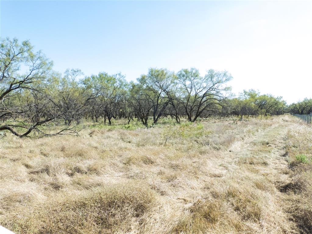 1597 County Road 305 Zephyr, TX 76890 - Photo 30 of 40 a view of a dry yard with trees