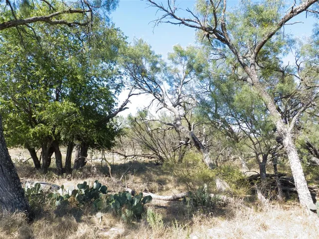 a view of a yard with a tree