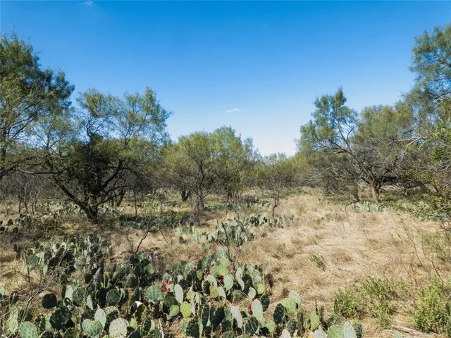 a view of mountain view with trees