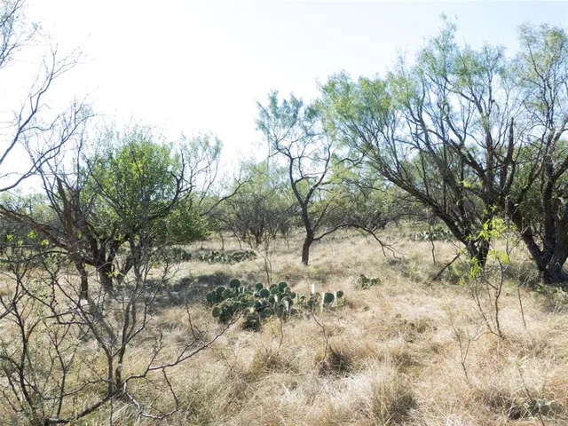 a view of a yard covered in snow