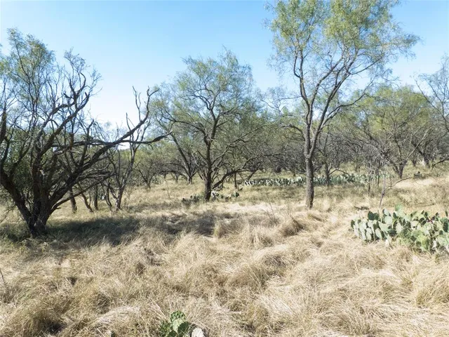 a view of a yard with a tree