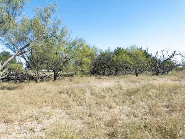 a view of an outdoor space with trees all around