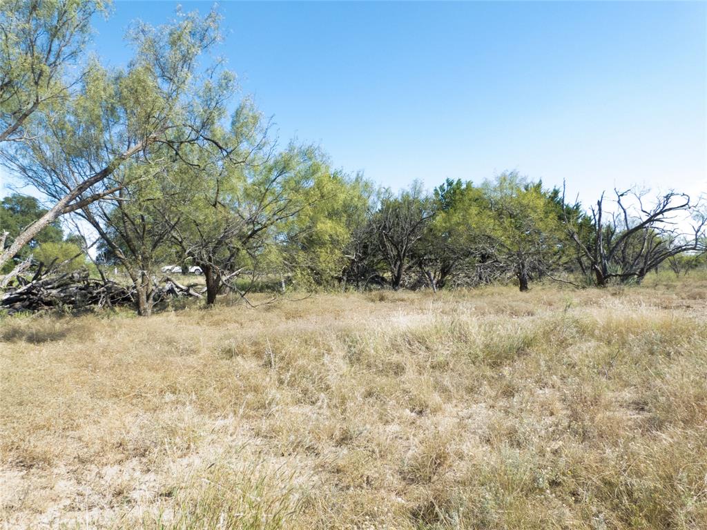 1597 County Road 305 Zephyr, TX 76890 - Photo 36 of 40 a view of a yard with a tree