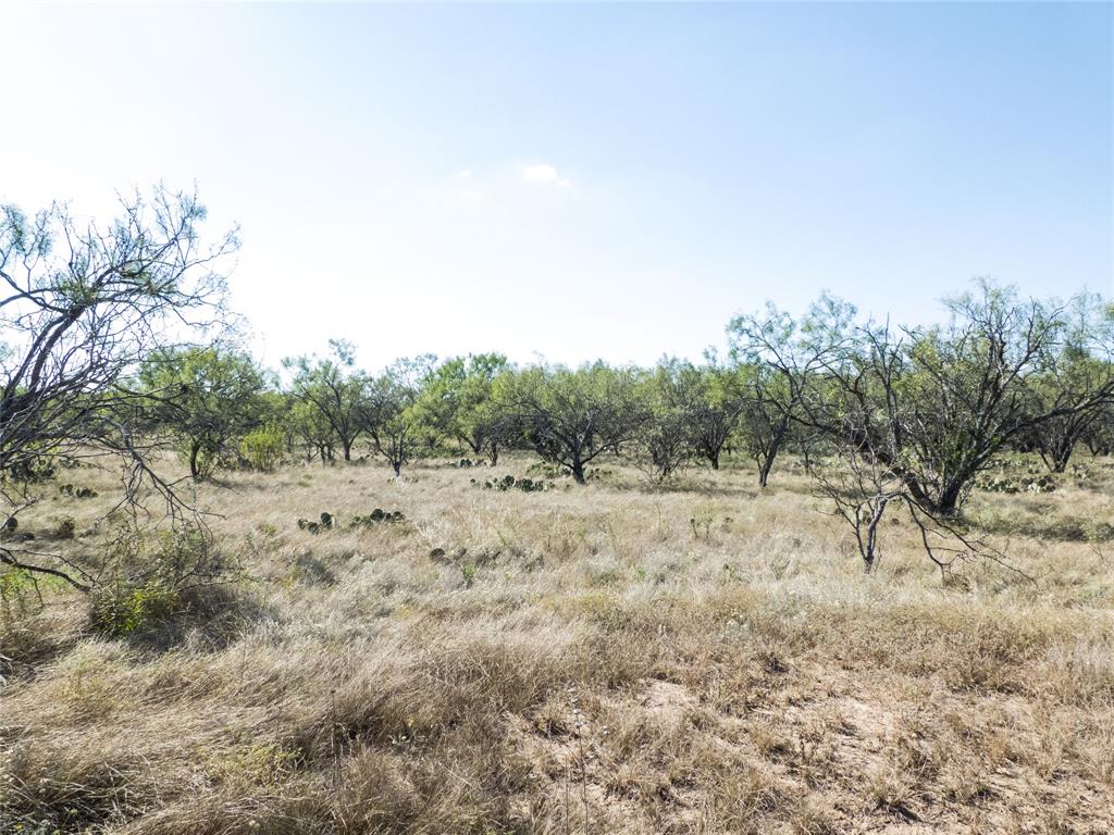 1597 County Road 305 Zephyr, TX 76890 - Photo 37 of 40 a view of an outdoor space with trees all around
