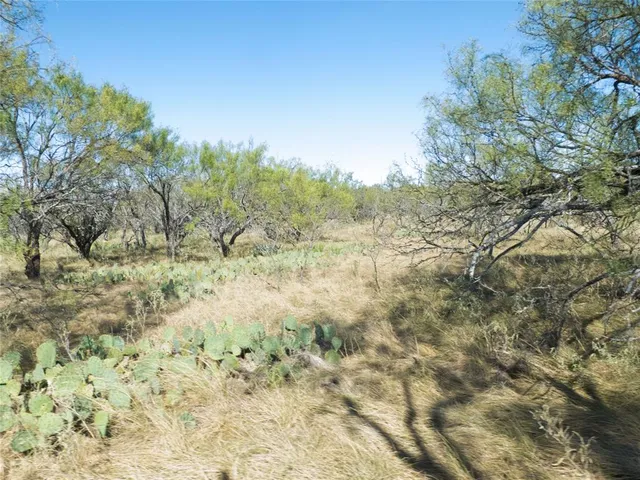 a view of a outdoor space