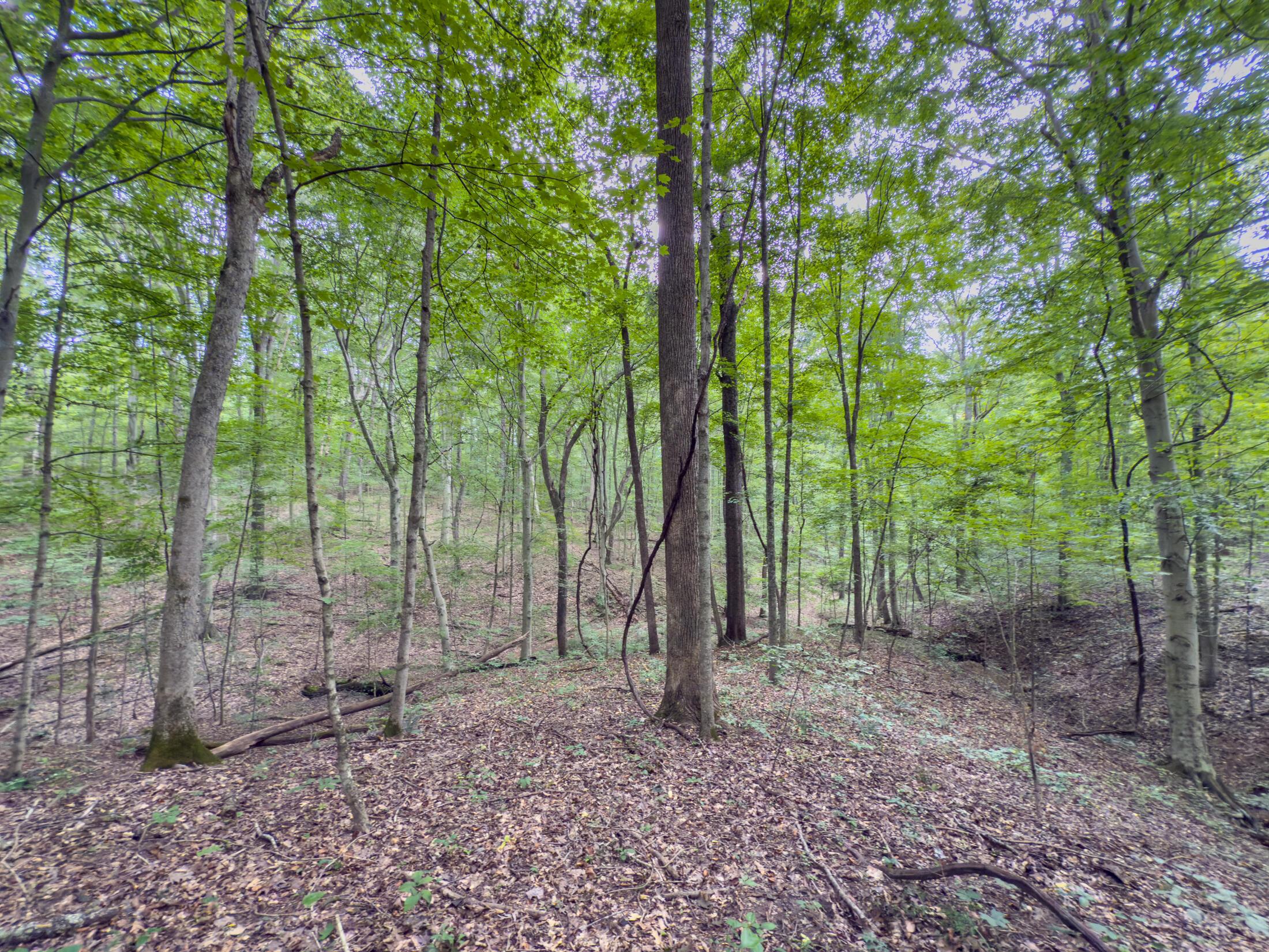 30574 Strawn Road Logan, OH 43138 - Photo 86 of 92 IMG_0537