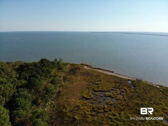 0 Shell Belt Road Mobile, AL 36603 - Photo 4 of 11