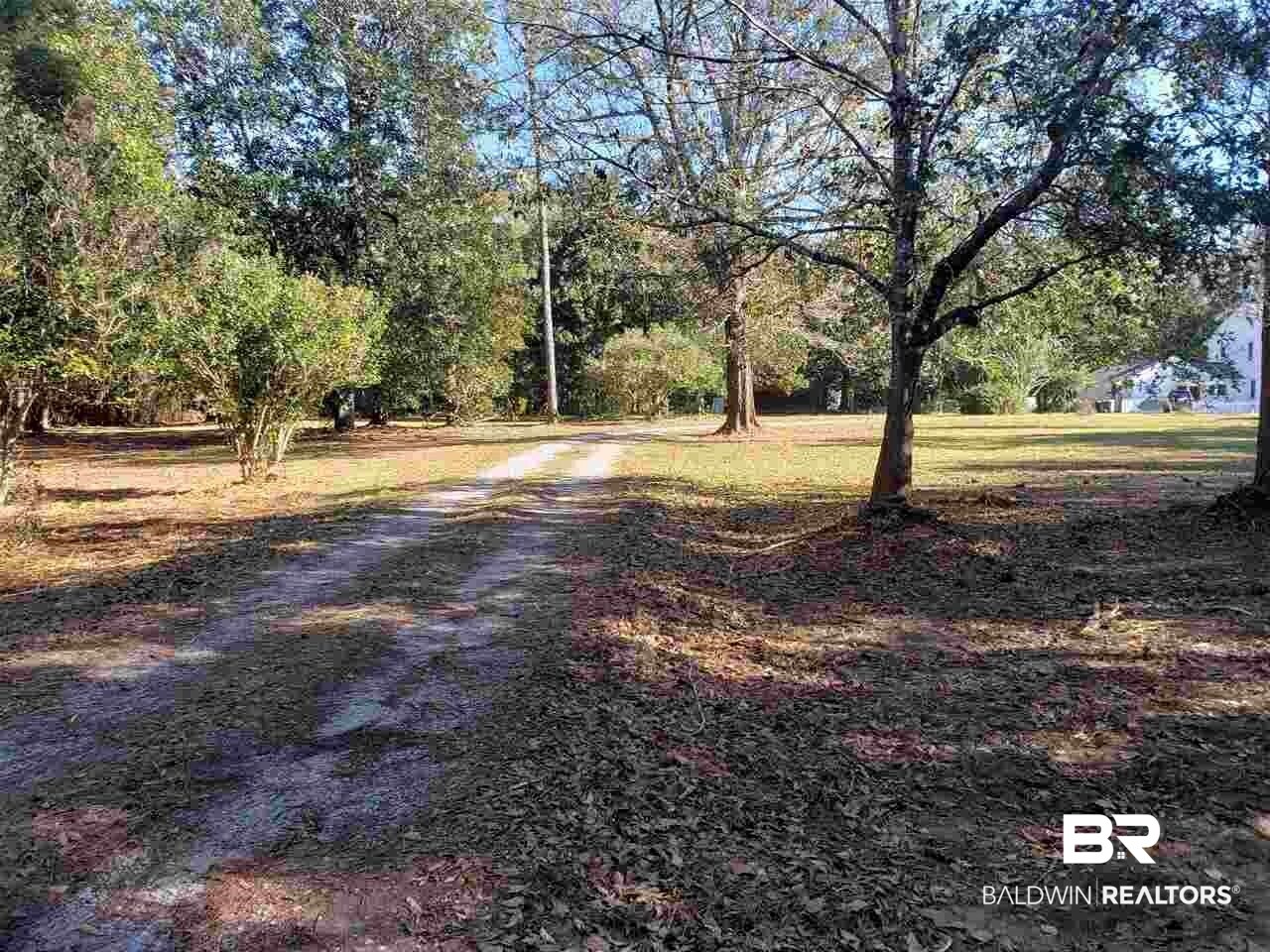 21655 Highway 98 Foley, AL 36535 - Photo 2 of 22