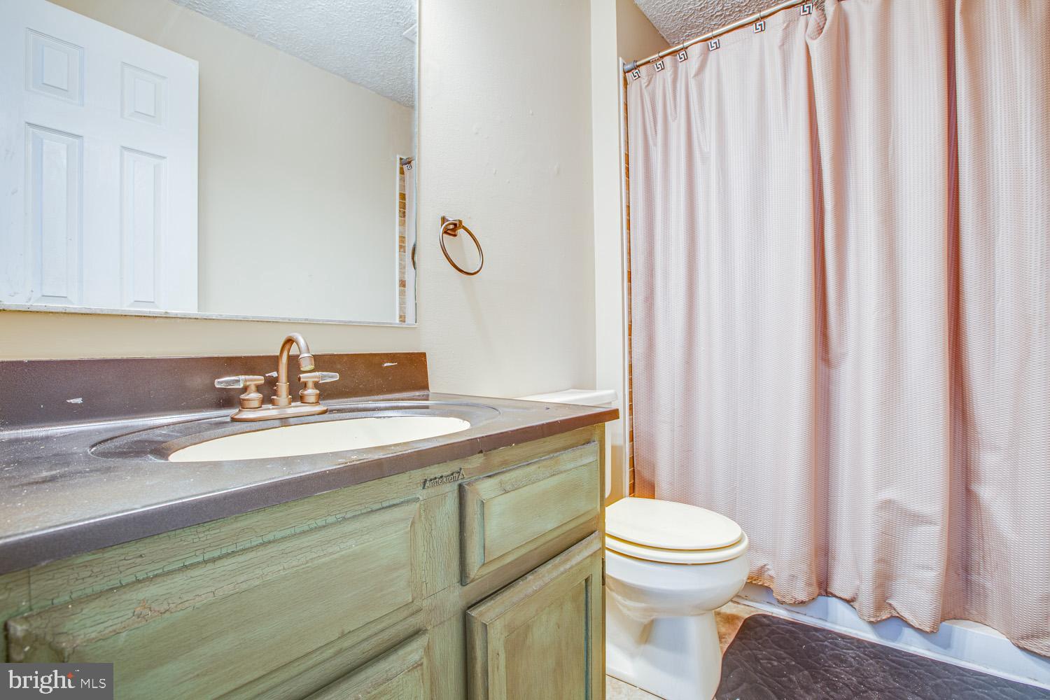 11337 Orange Plank Road Locust Grove, VA 22508 - Photo 25 of 39 Bathroom