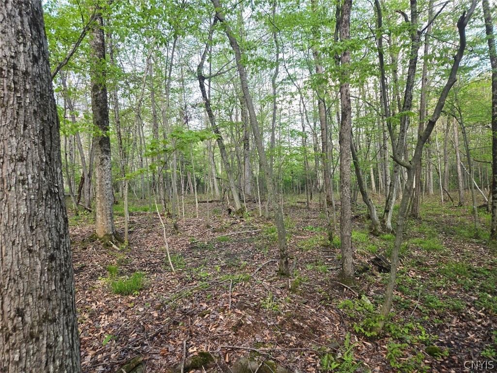 Pochuck Road Bliss, NY 14024 - Photo 21 of 23