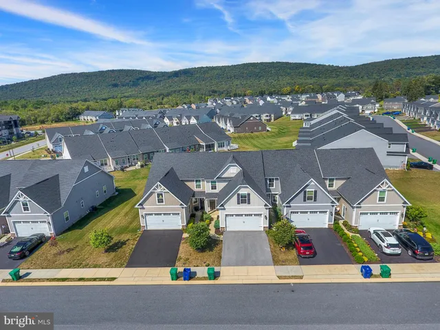 a view of a lake with lawn chairs and large trees
