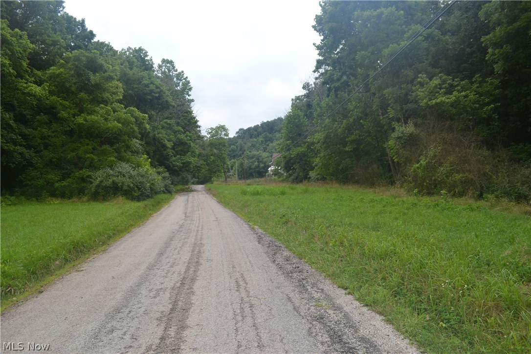 2240 Buck Run Road Mineral Wells, WV 26150 - Photo 3 of 13