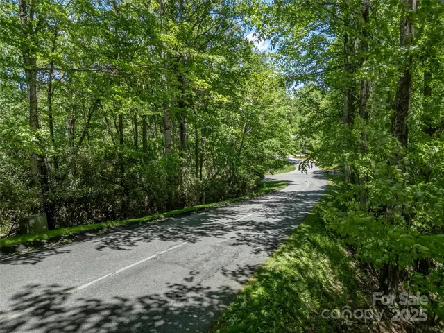 a view of a yard with large trees