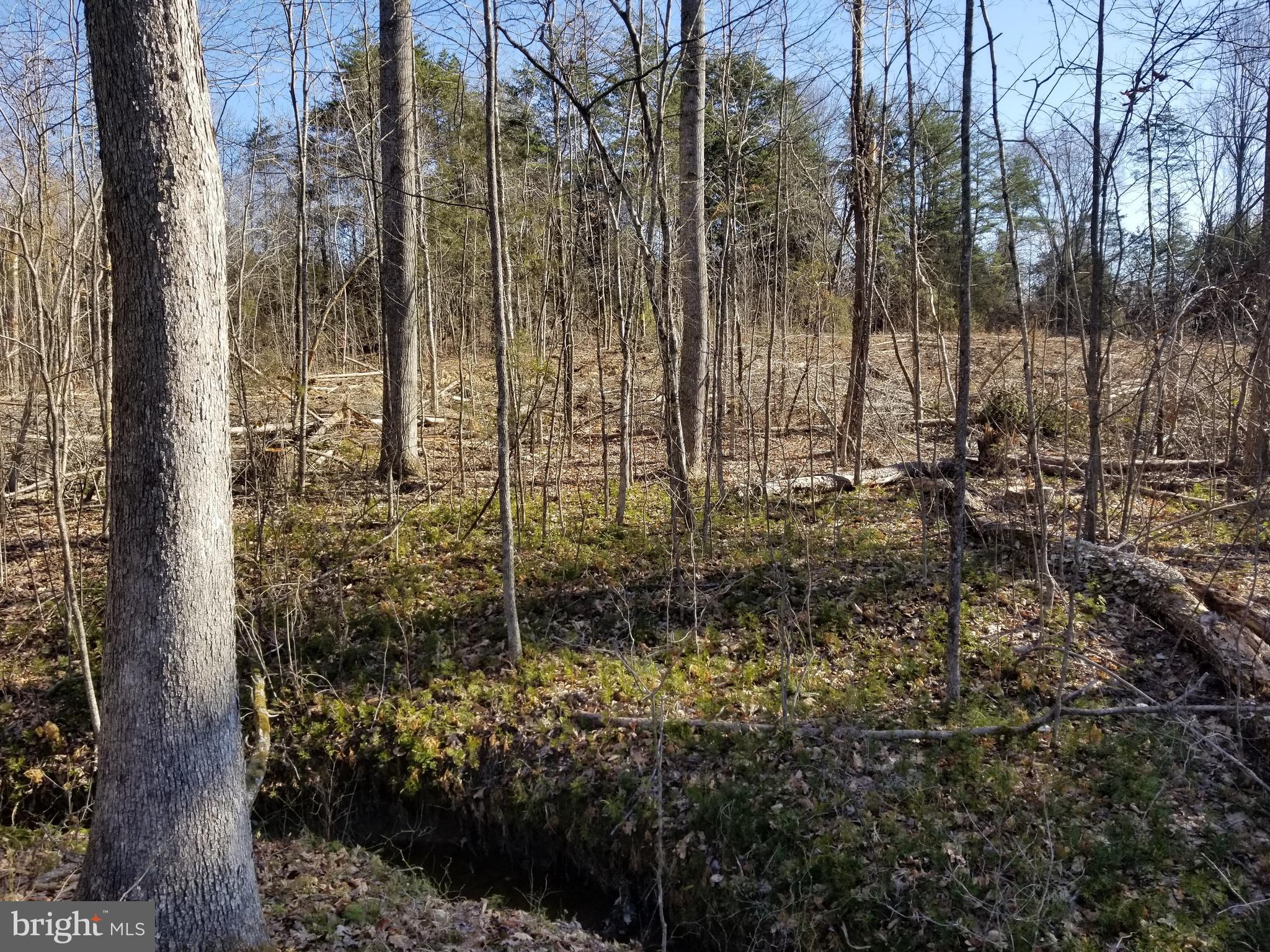 0 Willow Brook Road Bumpass, VA 23024 - Photo 3 of 12 Gallery Image 3