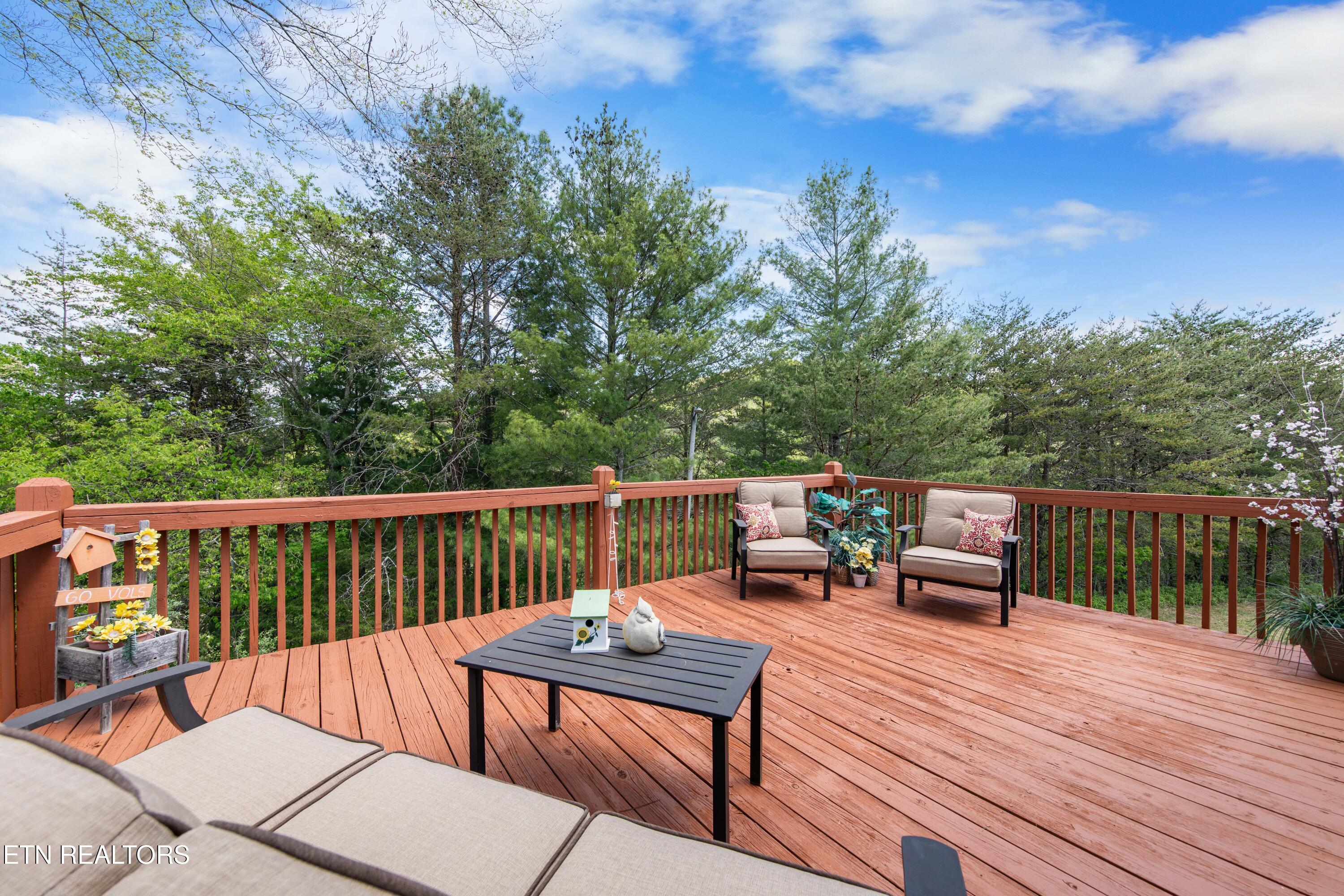 300 Lowe Road Huntsville, TN 37756 - Photo 38 of 60 030A1508