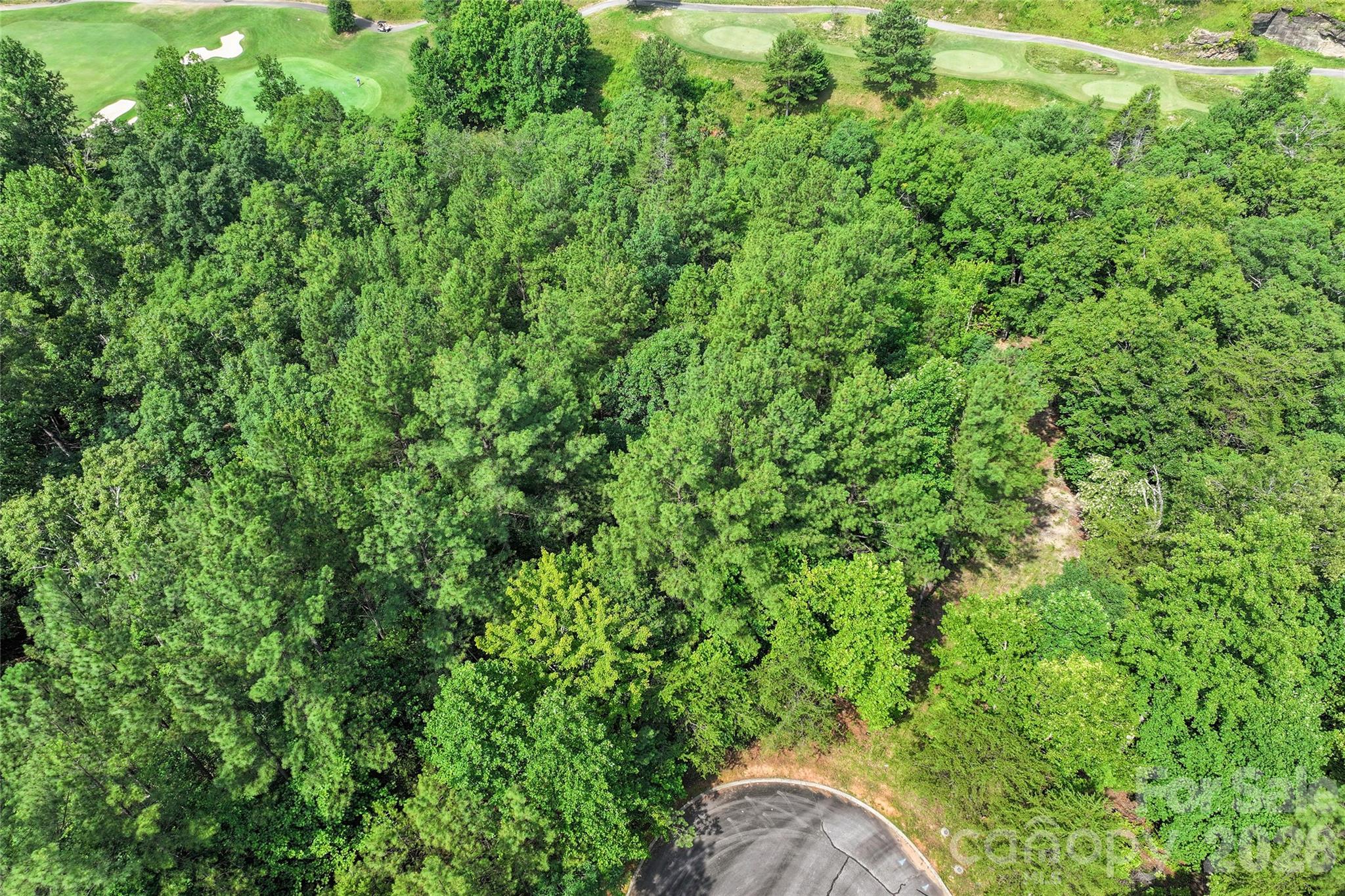 Lot 24 Monteith Pl Mill Spring Mill Spring, NC 28756 - Photo 10 of 24