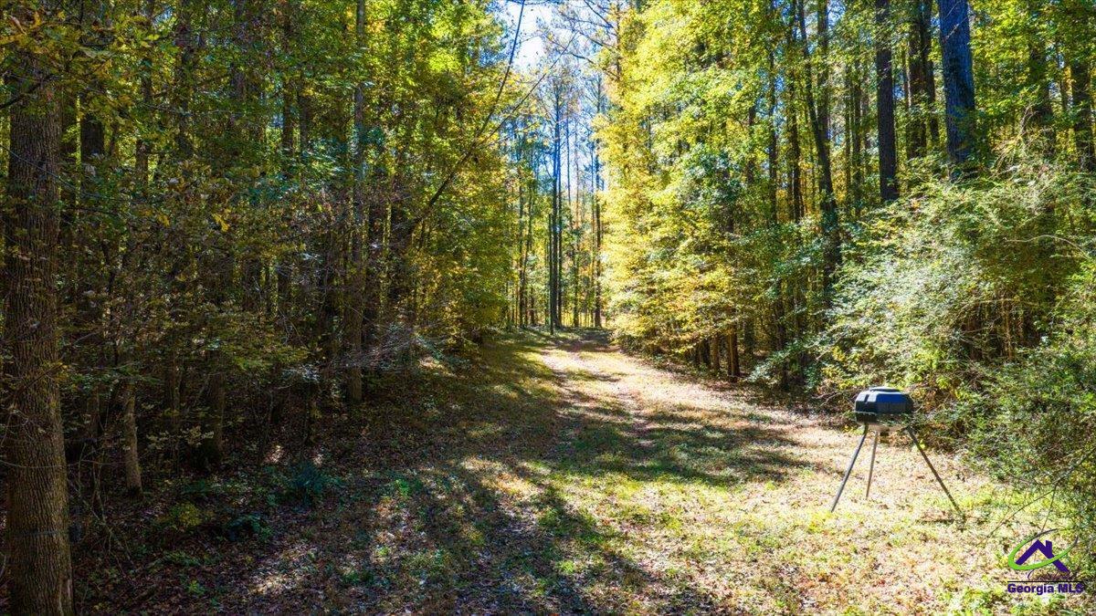 3271 Highway 42 Forsyth, GA 31029 - Photo 29 of 29