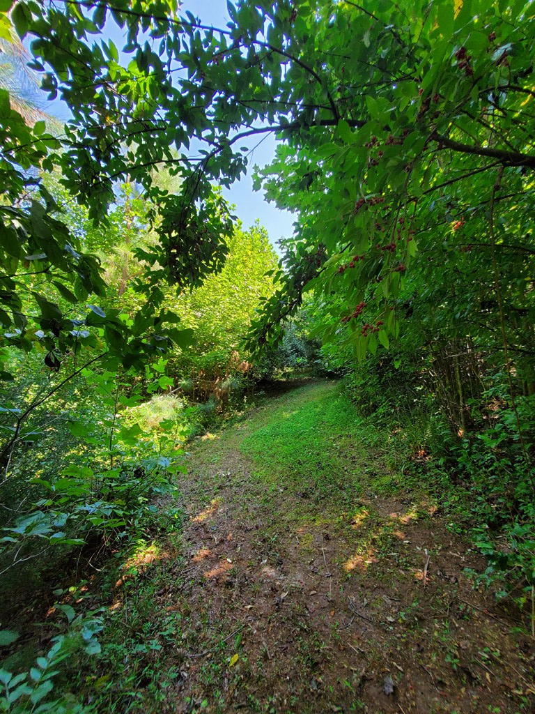 2811 Meherrin Road Meherrin, VA 23954 - Photo 53 of 66 Gallery Image 53