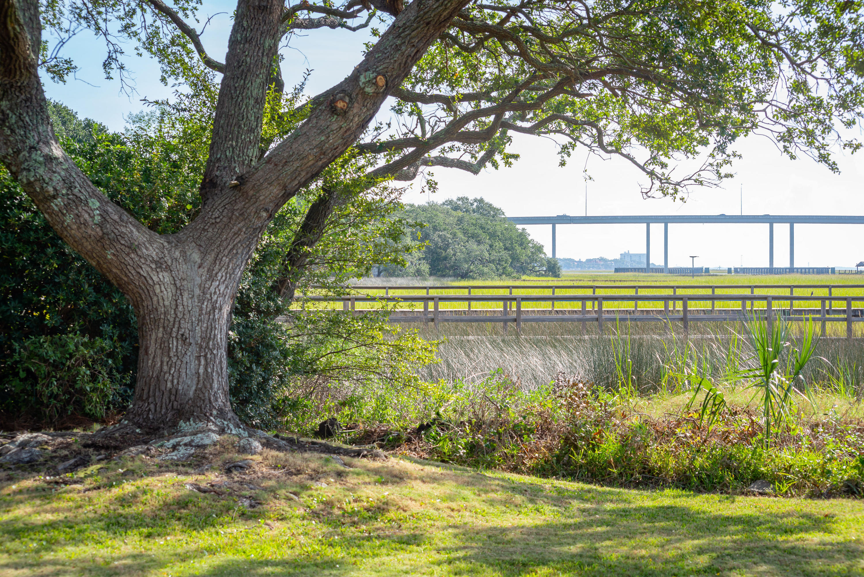 5 Broughton Road Charleston, SC 29407 - Photo 26 of 30 Views of Downtown Charleston