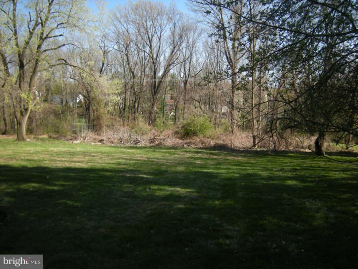 3420 Horton Road Newtown Square, PA 19073 - Photo 4 of 24 Back Yard