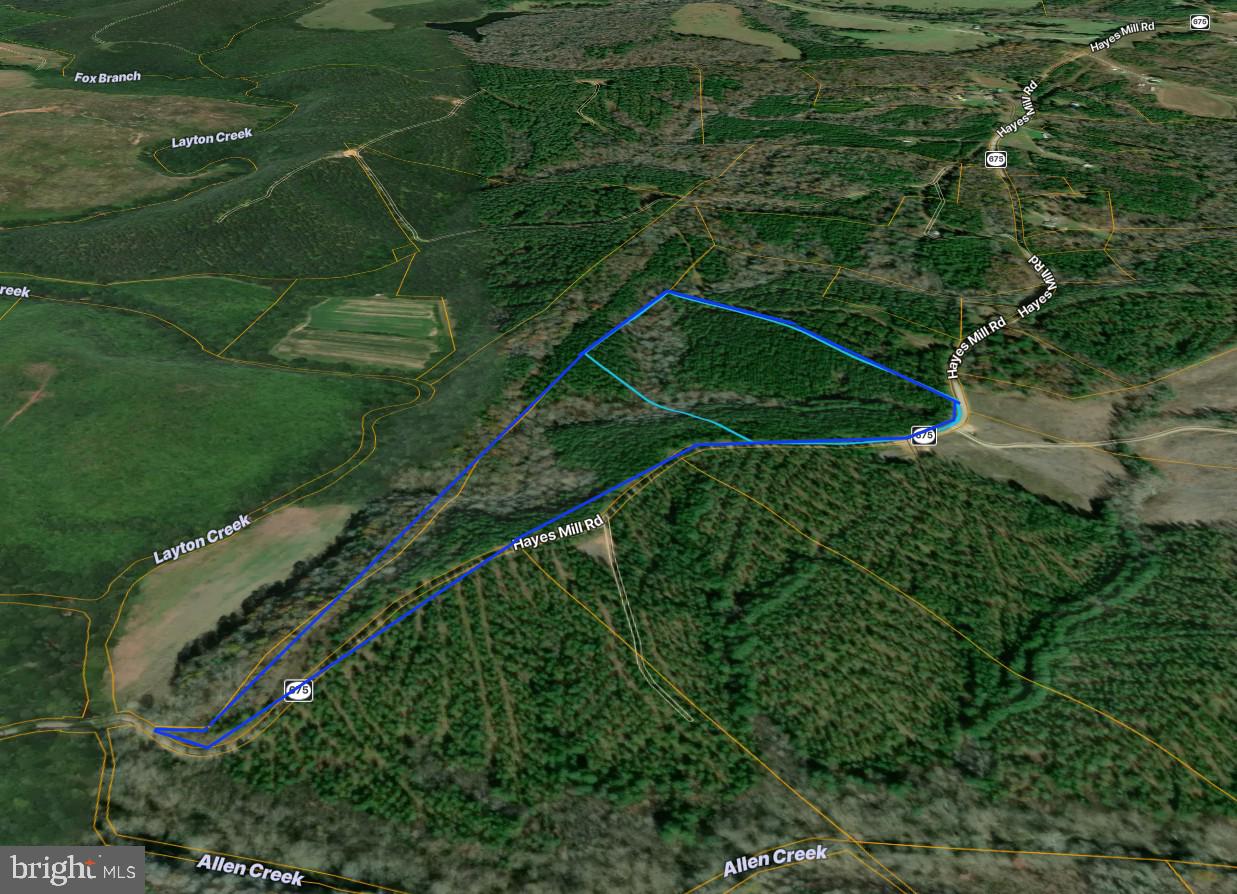 0 Hayes Mill Road Boydton, VA 23917 - Photo 1 of 7