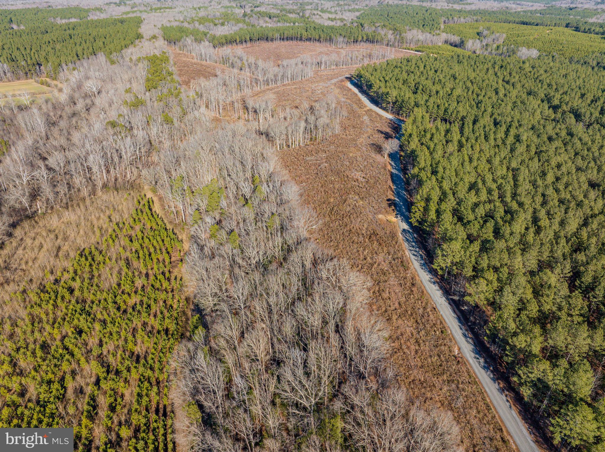 0 Hayes Mill Road Boydton, VA 23917 - Photo 3 of 7