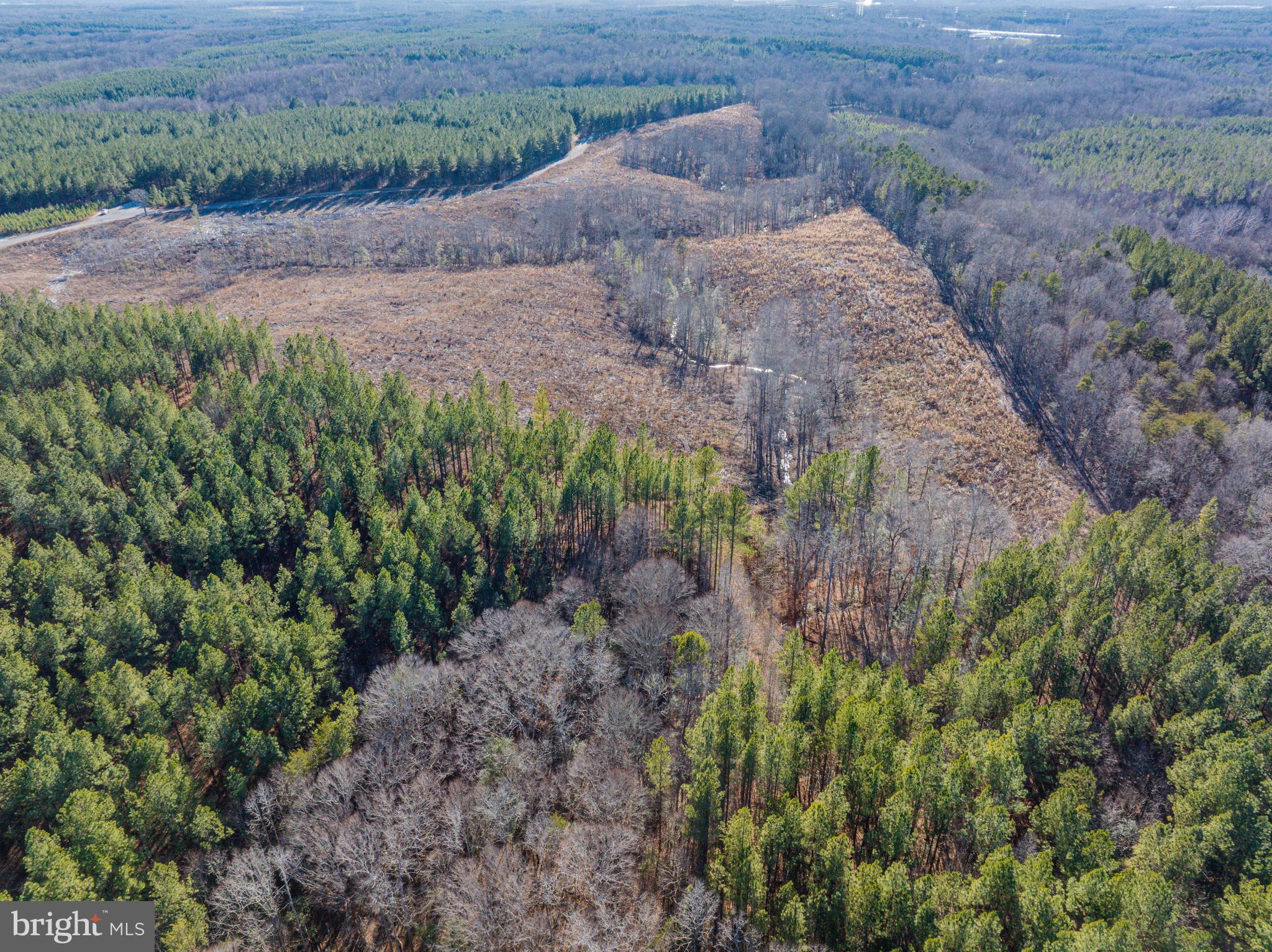 0 Hayes Mill Road Boydton, VA 23917 - Photo 4 of 7