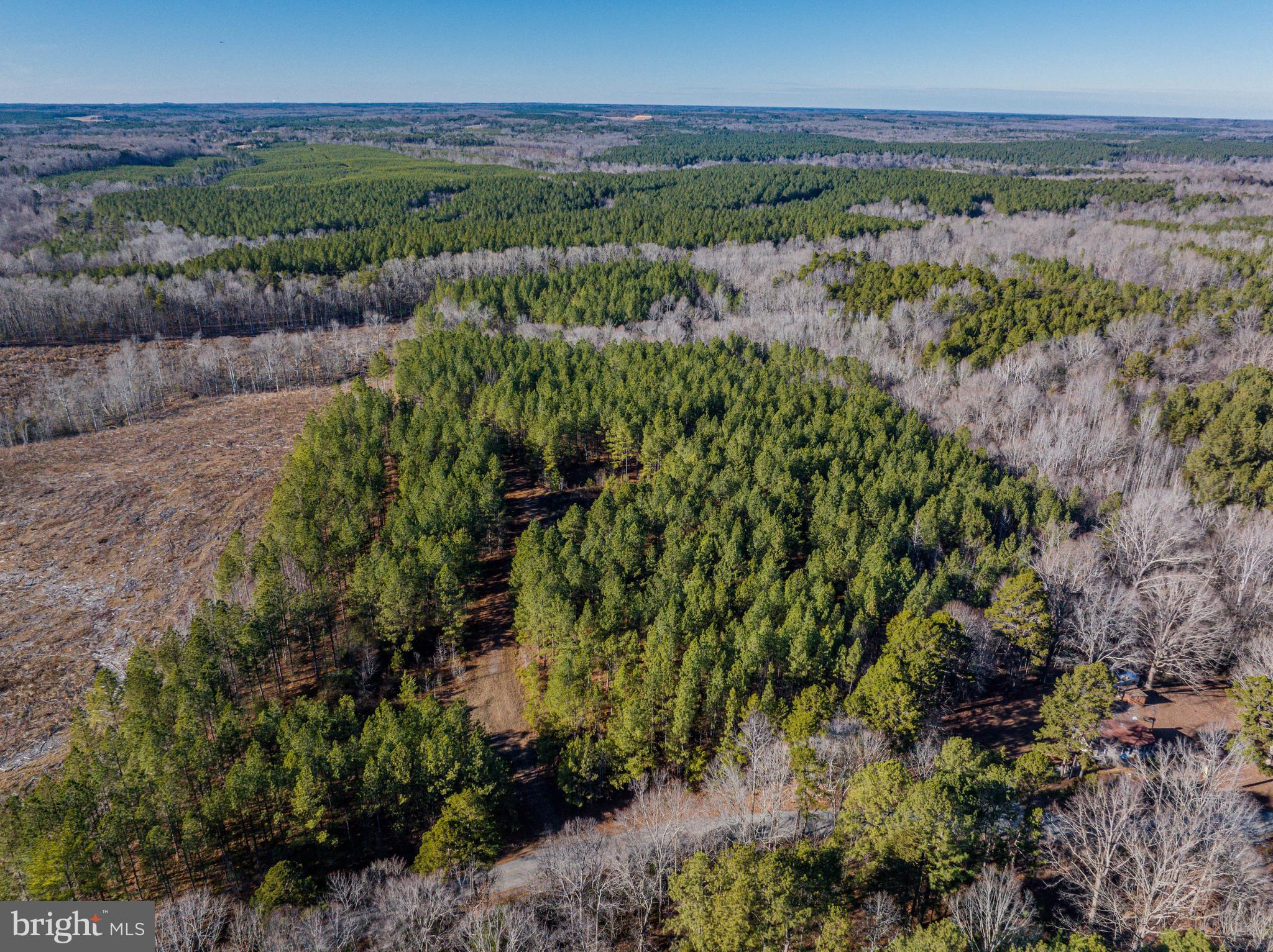 0 Hayes Mill Road Boydton, VA 23917 - Photo 6 of 7