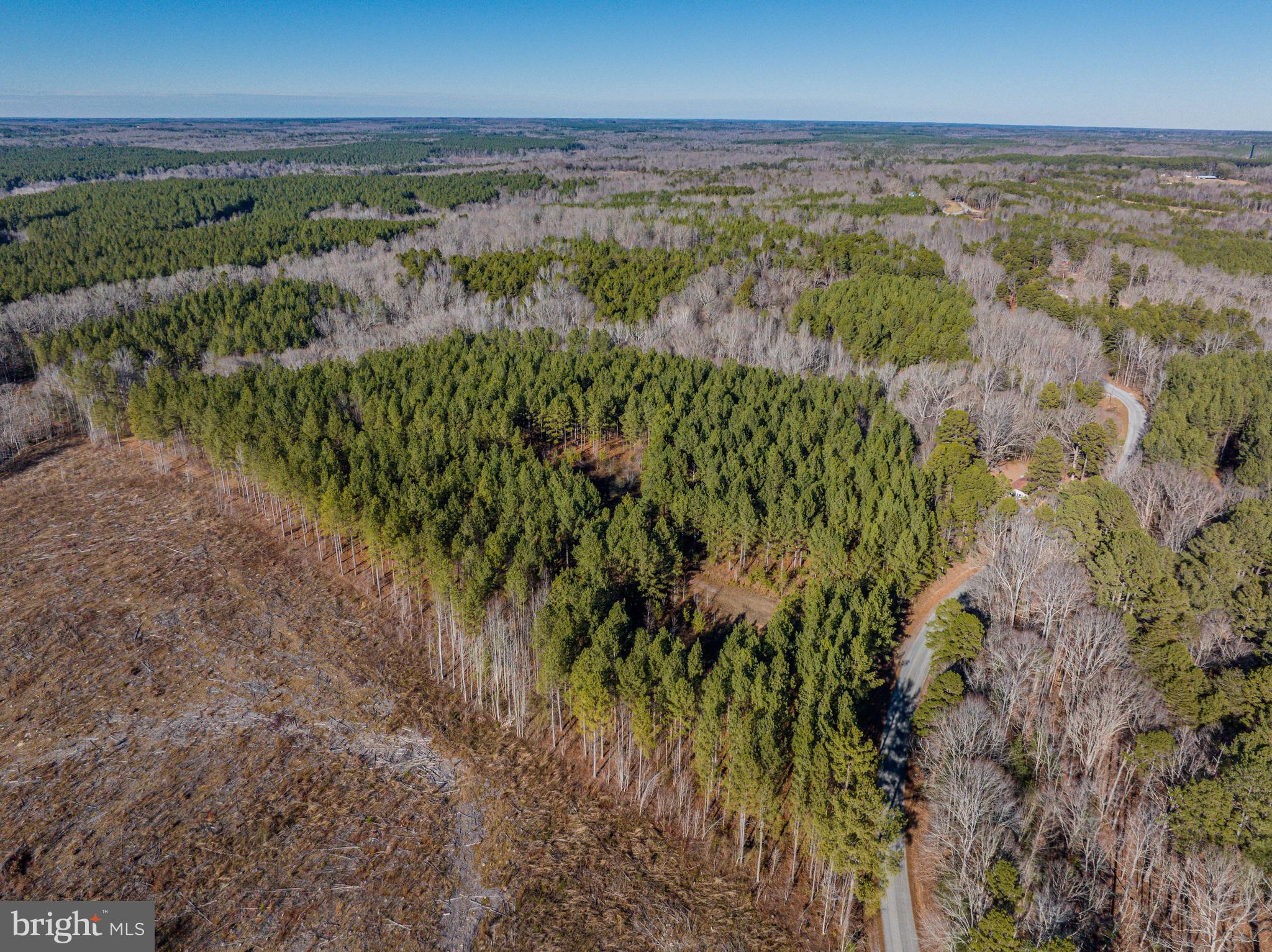 0 Hayes Mill Road Boydton, VA 23917 - Photo 7 of 7