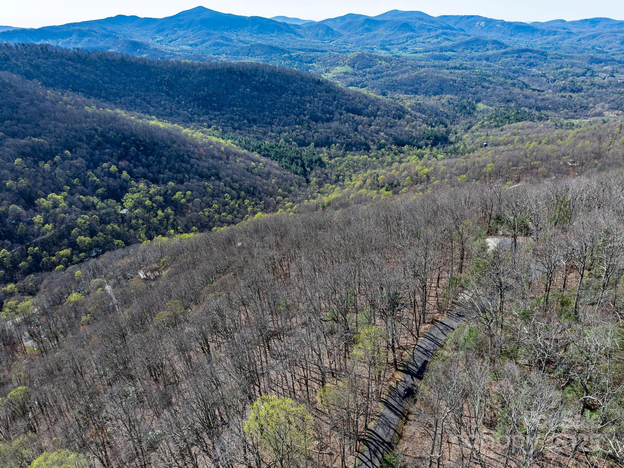 99999 Chestnut Forest Road, Unit 412 & #413 Fairview, NC 28730 - Photo 2 of 36