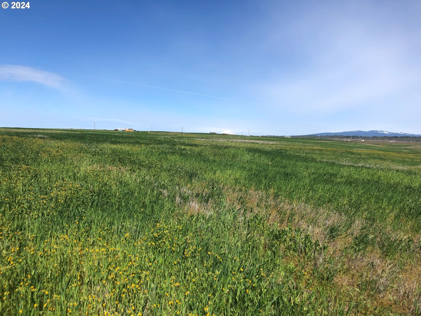 17 Lightning Lane Goldendale, WA 98620 - Photo 11 of 16 a view of an ocean