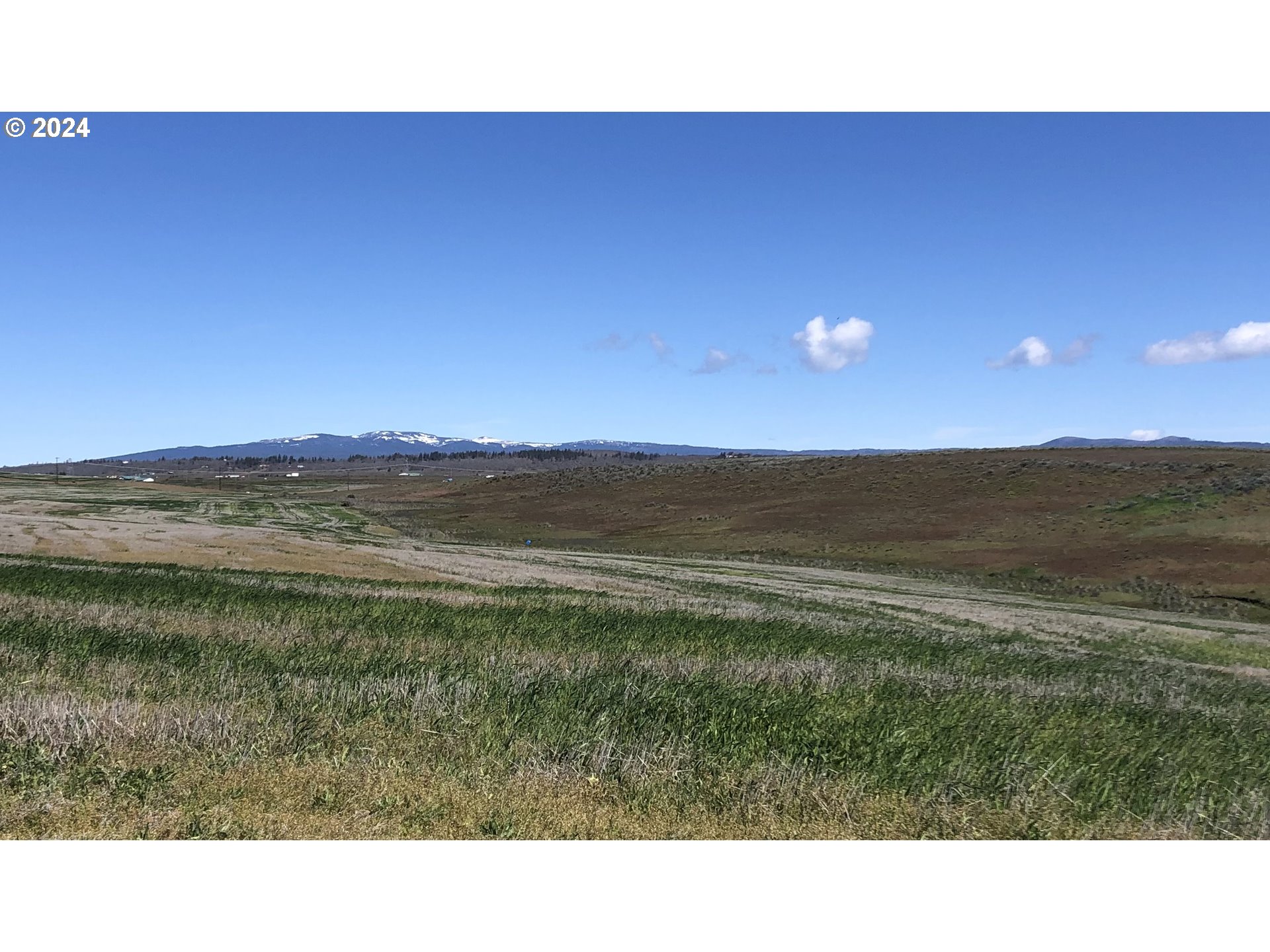 17 Lightning Lane Goldendale, WA 98620 - Photo 7 of 16 a open hall with a yard