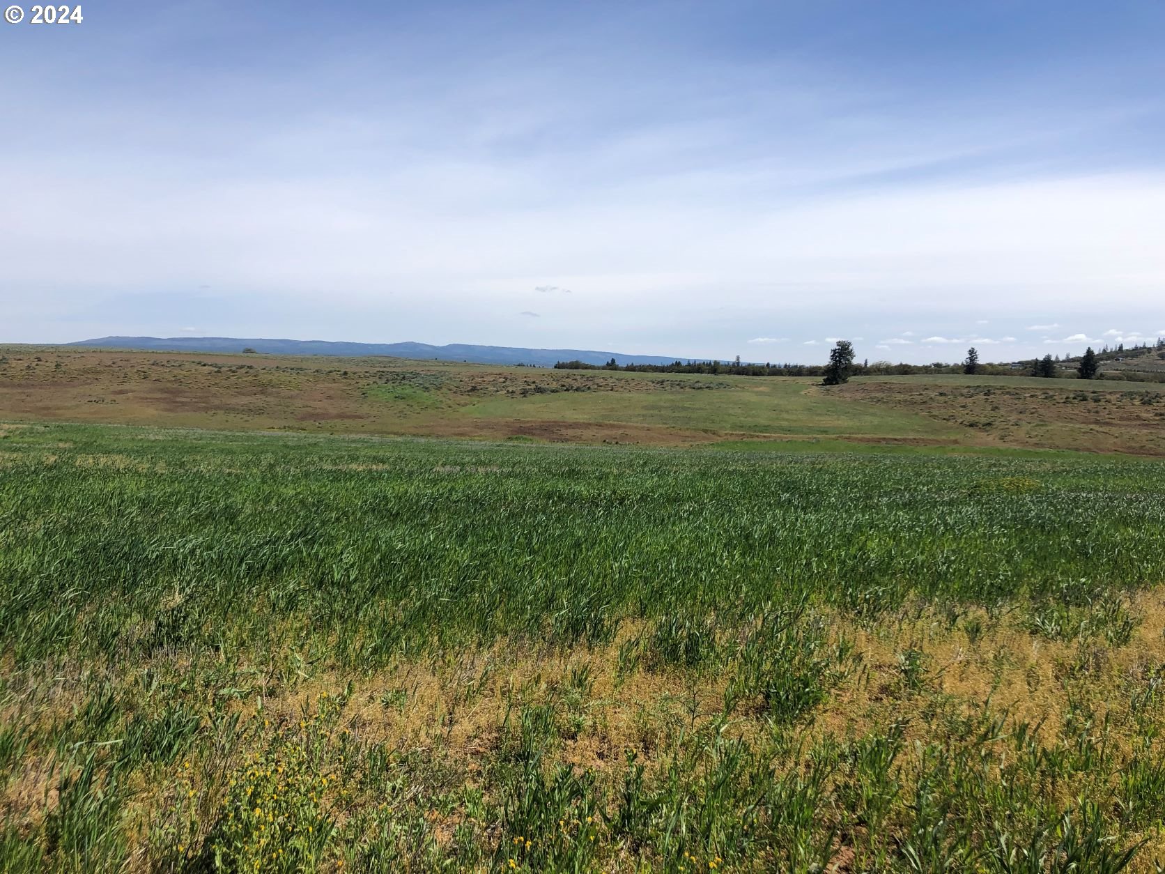 17 Lightning Lane Goldendale, WA 98620 - Photo 8 of 16 a view of an ocean