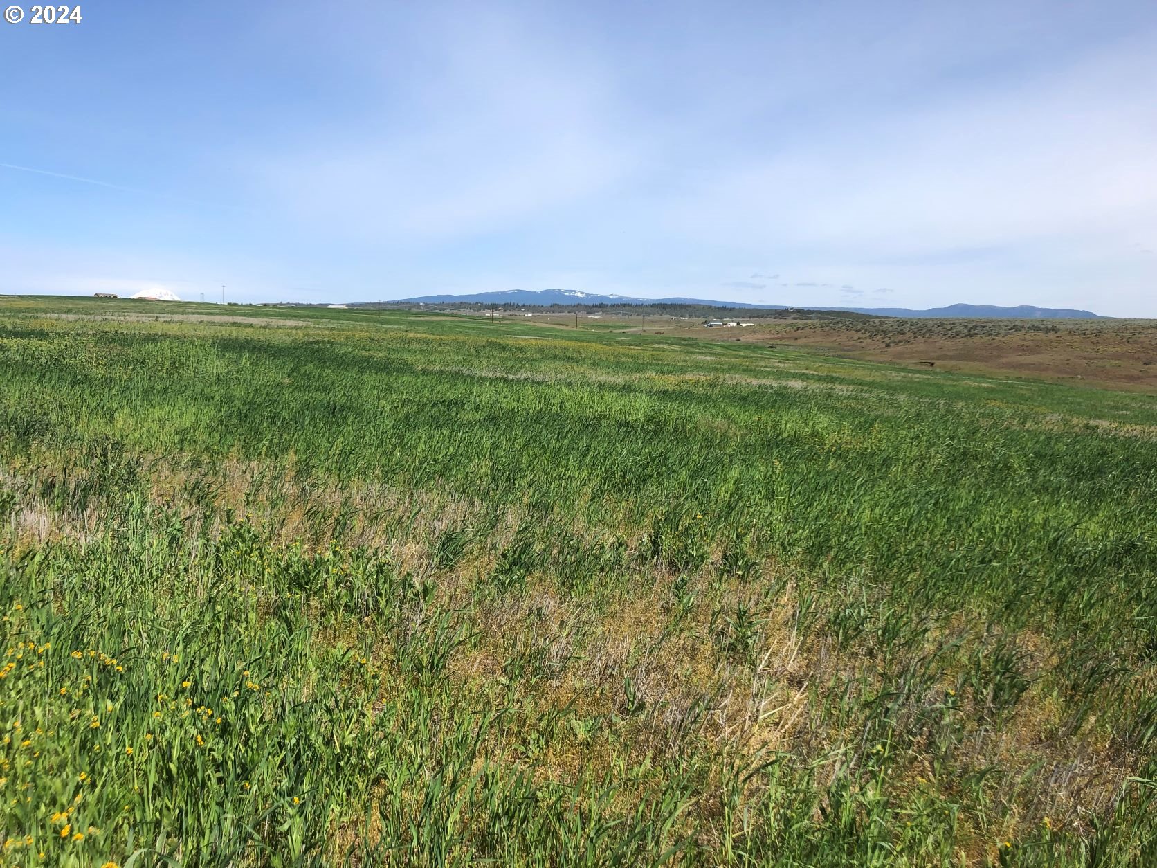 17 Lightning Lane Goldendale, WA 98620 - Photo 9 of 16 a view of a field with an ocean