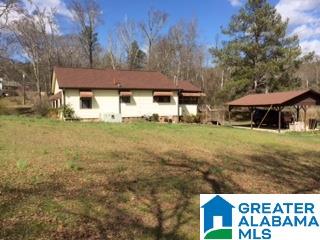 769 Chandler Mountain Road Steele, AL 35987 - Photo 5 of 41