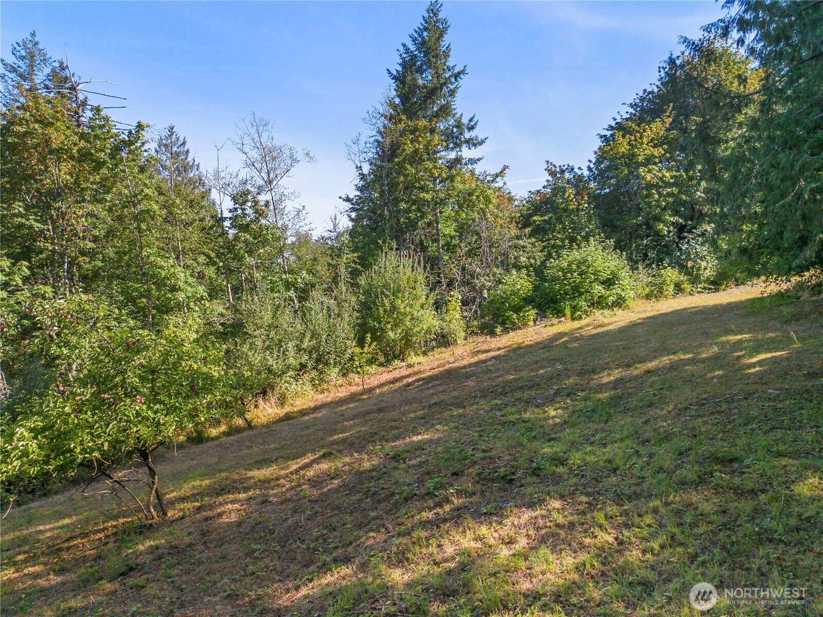131 East Rasor Road Belfair, WA 98528 - Photo 15 of 40 Gallery Image 15