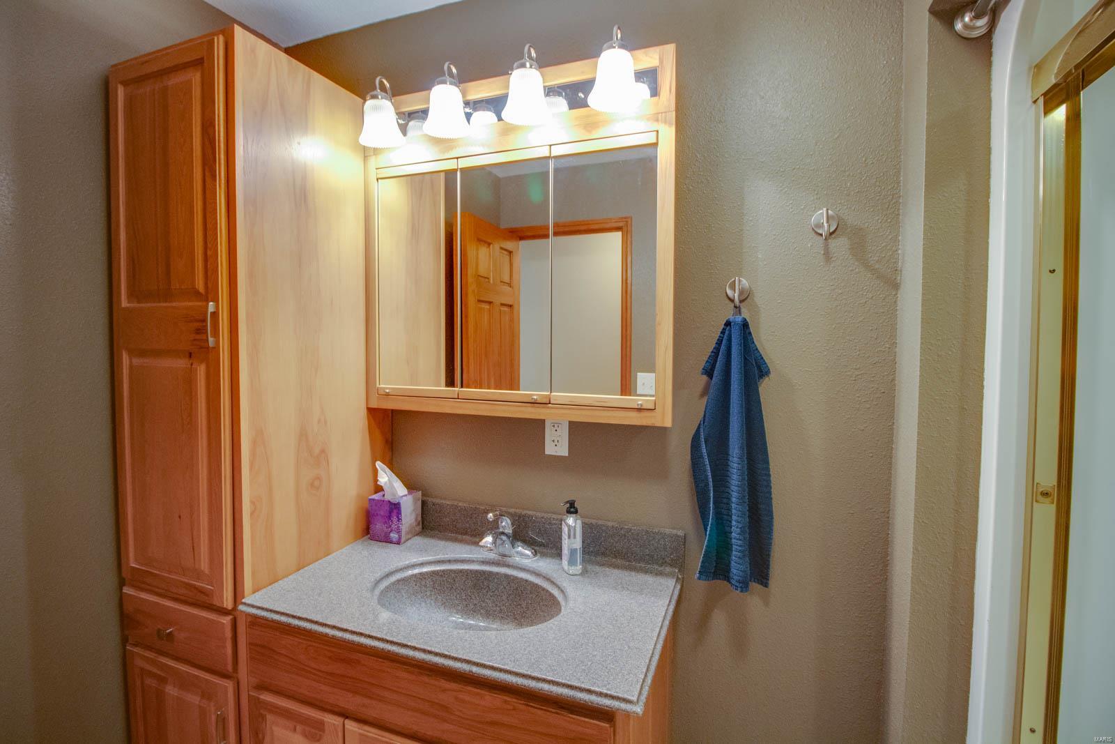 18155 Grange Hall Road Brighton, IL 62012 - Photo 16 of 67