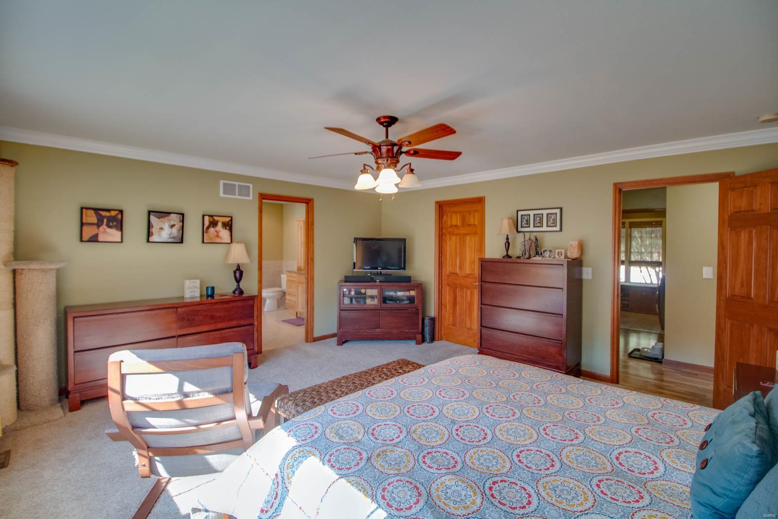 18155 Grange Hall Road Brighton, IL 62012 - Photo 18 of 67