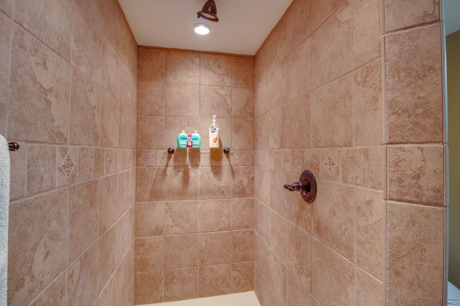 18155 Grange Hall Road Brighton, IL 62012 - Photo 39 of 67