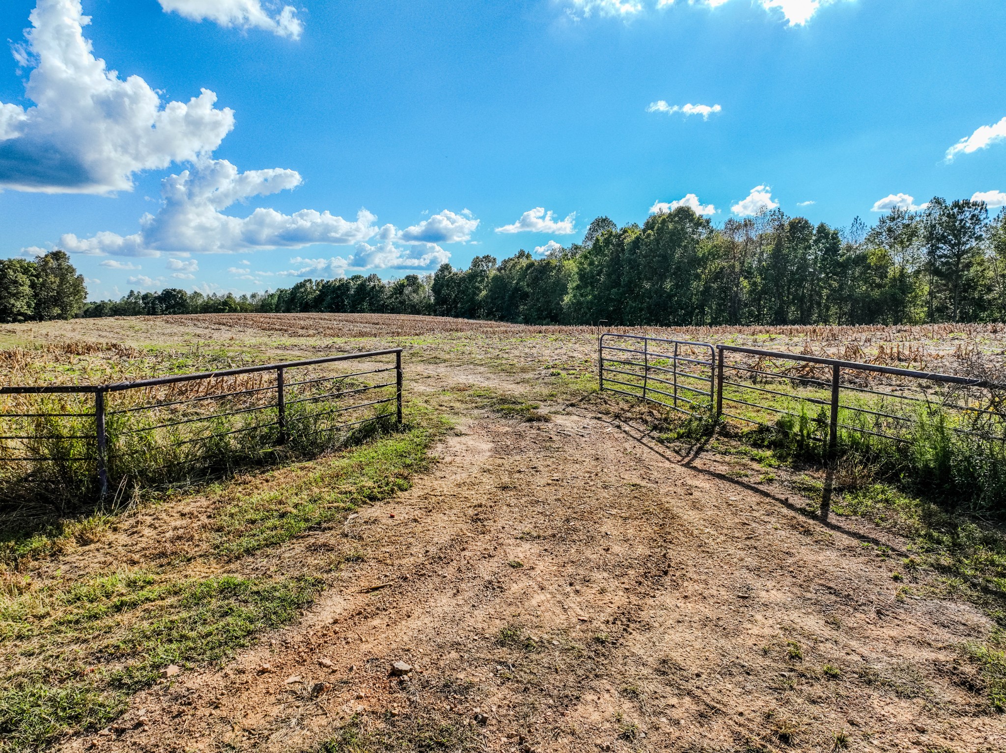 0 South Randall Road Westpoint, TN 38486 - Photo 27 of 79
