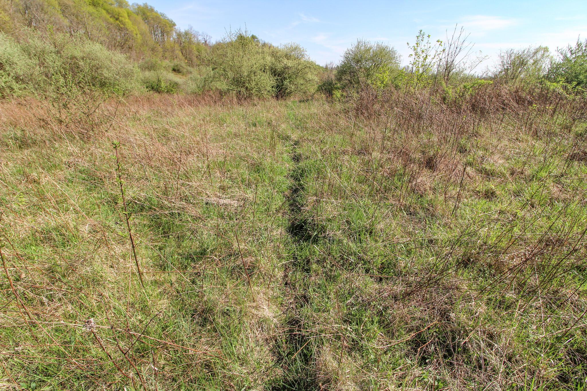 0 State Route 800 Road Barnesville, OH 43713 - Photo 25 of 38 IMG_6238