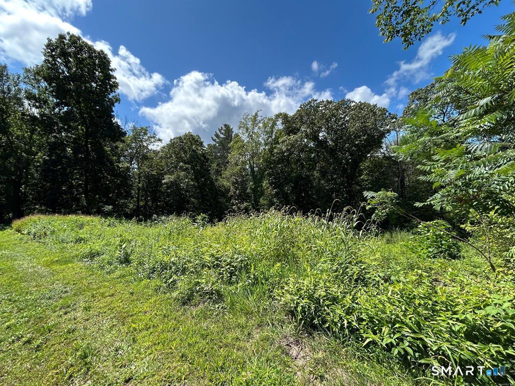 36 Olde Meadow Road Woodstock, CT 06281 - Photo 12 of 14 a view of a garden