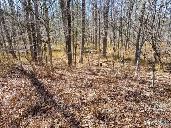 $799,900 | 36 Olde Meadow Road, Woodstock, CT 06281
