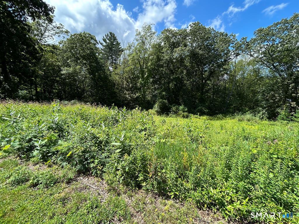 36 Olde Meadow Road Woodstock, CT 06281 - Photo 10 of 14 a view of a garden