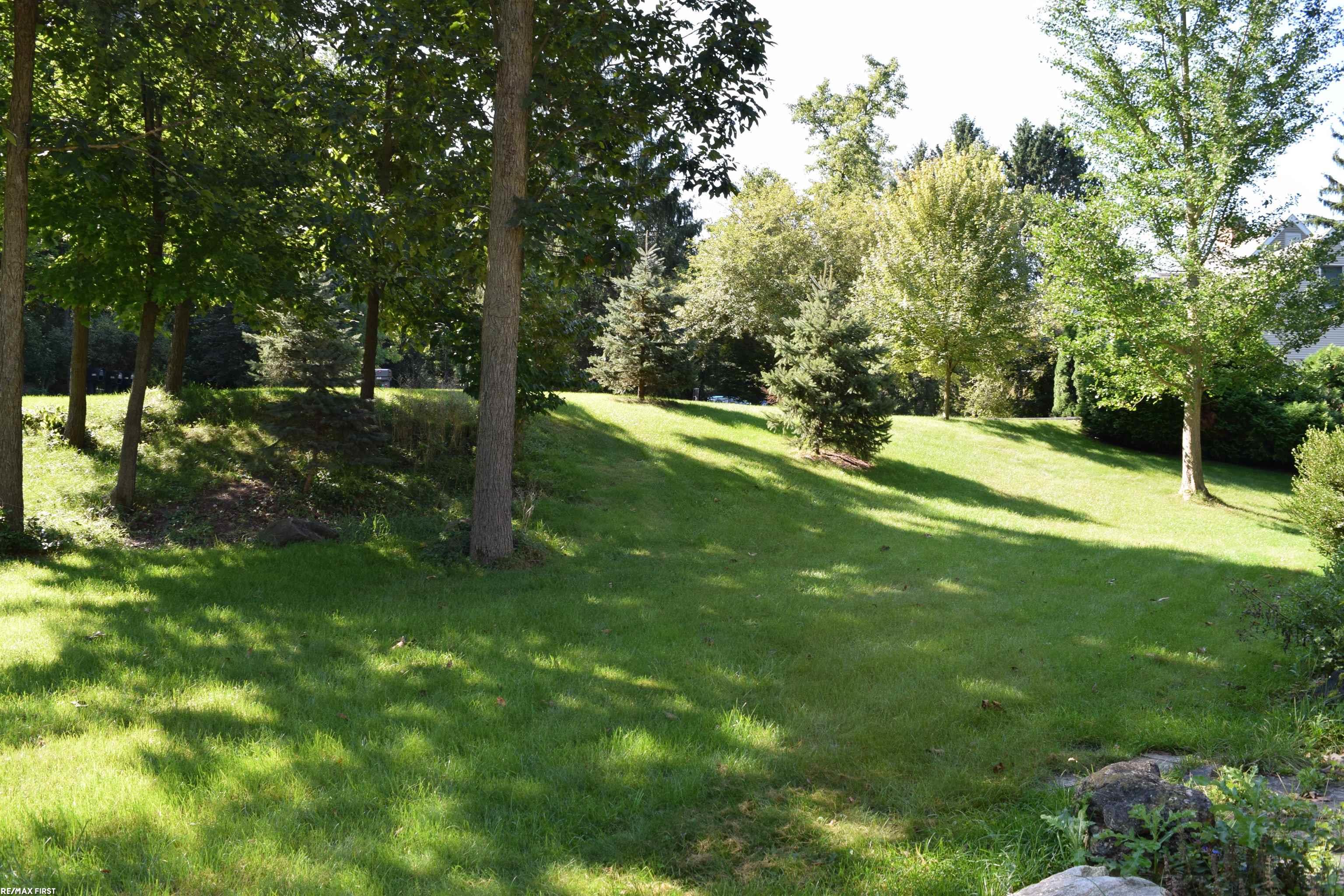 4203 Timberview Drive Howell, MI 48843 - Photo 16 of 20 50154523-cbd8bf94-6b14-463f-bcd5-dff419454ba4.JPG