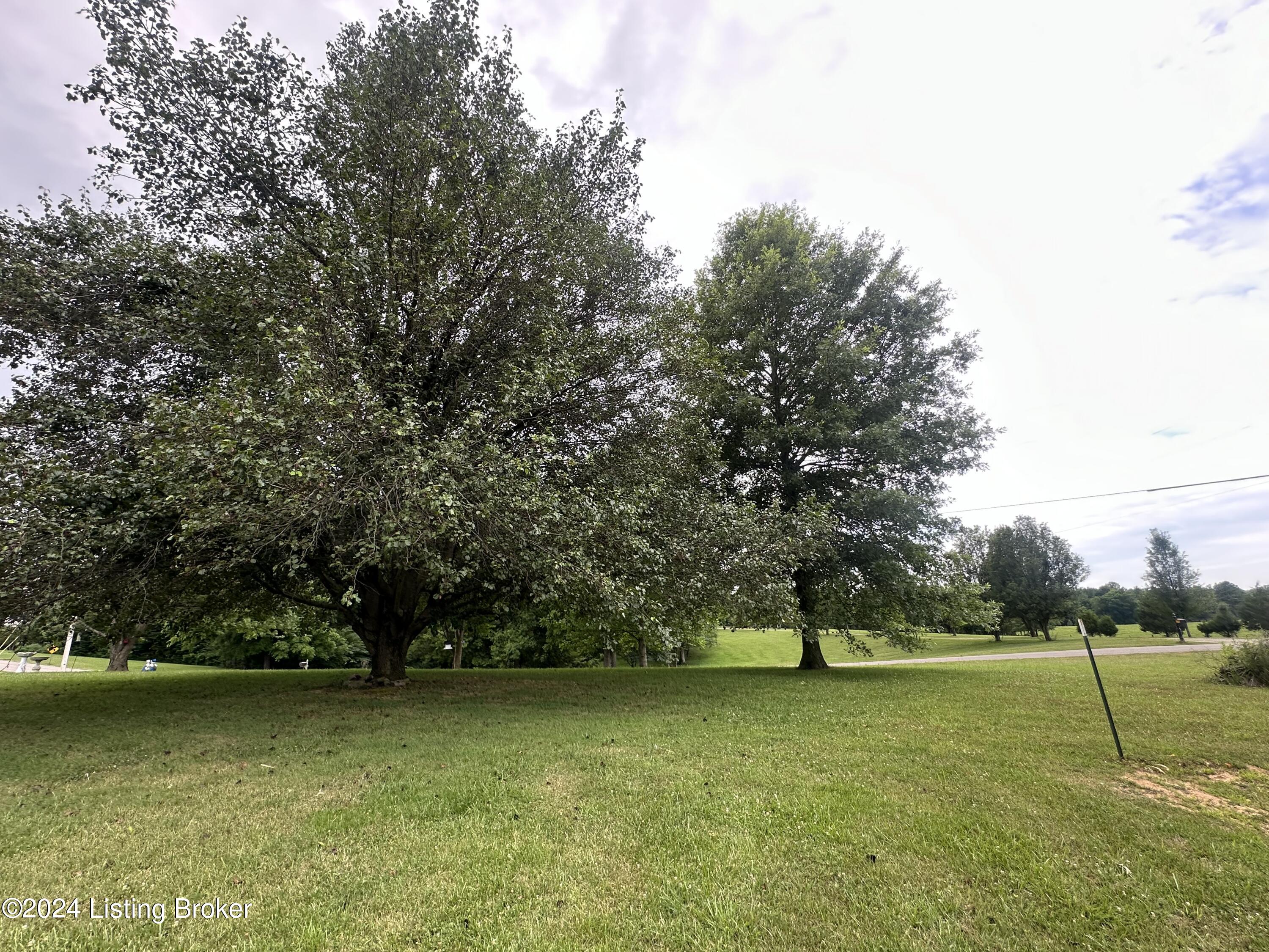 1380 Buck Knobs Road Ekron, KY 40117 - Photo 65 of 66 IMG_1611