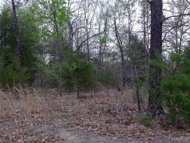 $89,900 | 0 Young Road, Salem, AR 72576