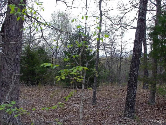 $89,900 | 0 Young Road, Salem, AR 72576