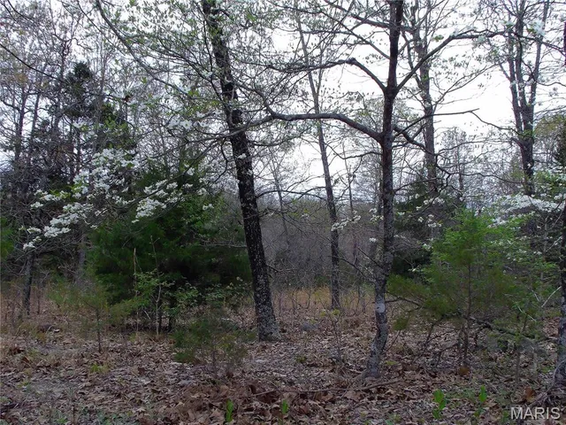 $89,900 | 0 Young Road, Salem, AR 72576